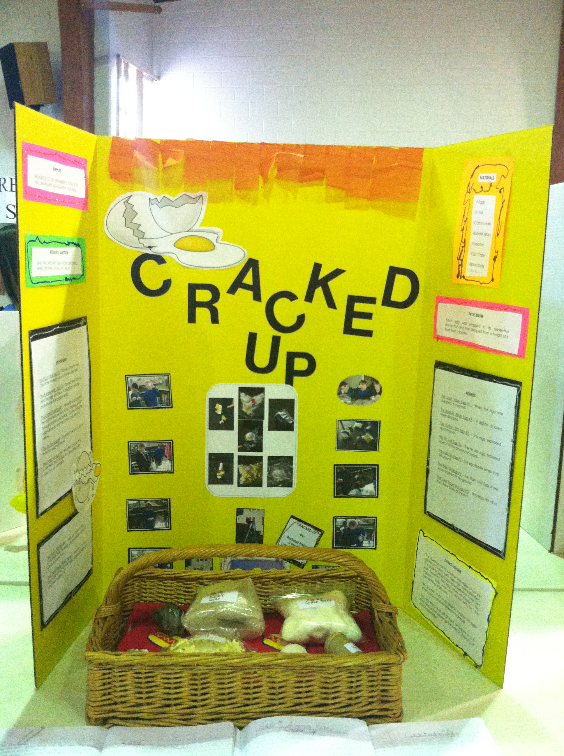 science projects 3rd